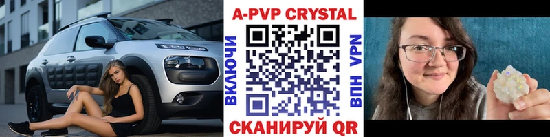 A-PVP СК КРИС  Владимир 