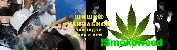 сатива Алзамай
