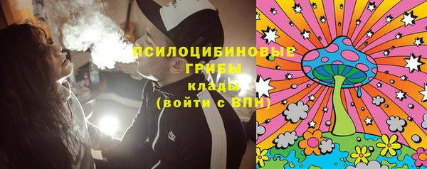 сатива Алзамай
