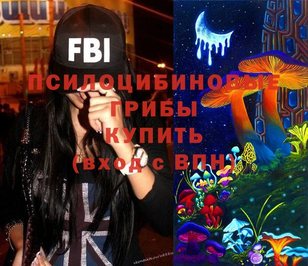 гидропоника Абаза