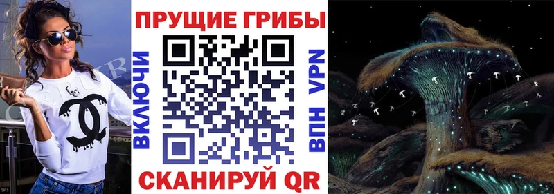 как найти закладки  Владимир  Галлюциногенные грибы ЛСД 